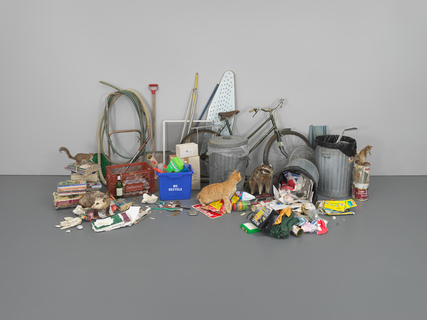 A collection of assorted items and trash spread across a grey floor against a grey wall, including a bicycle, metal trash cans, a pile of books, and several cats among the items.