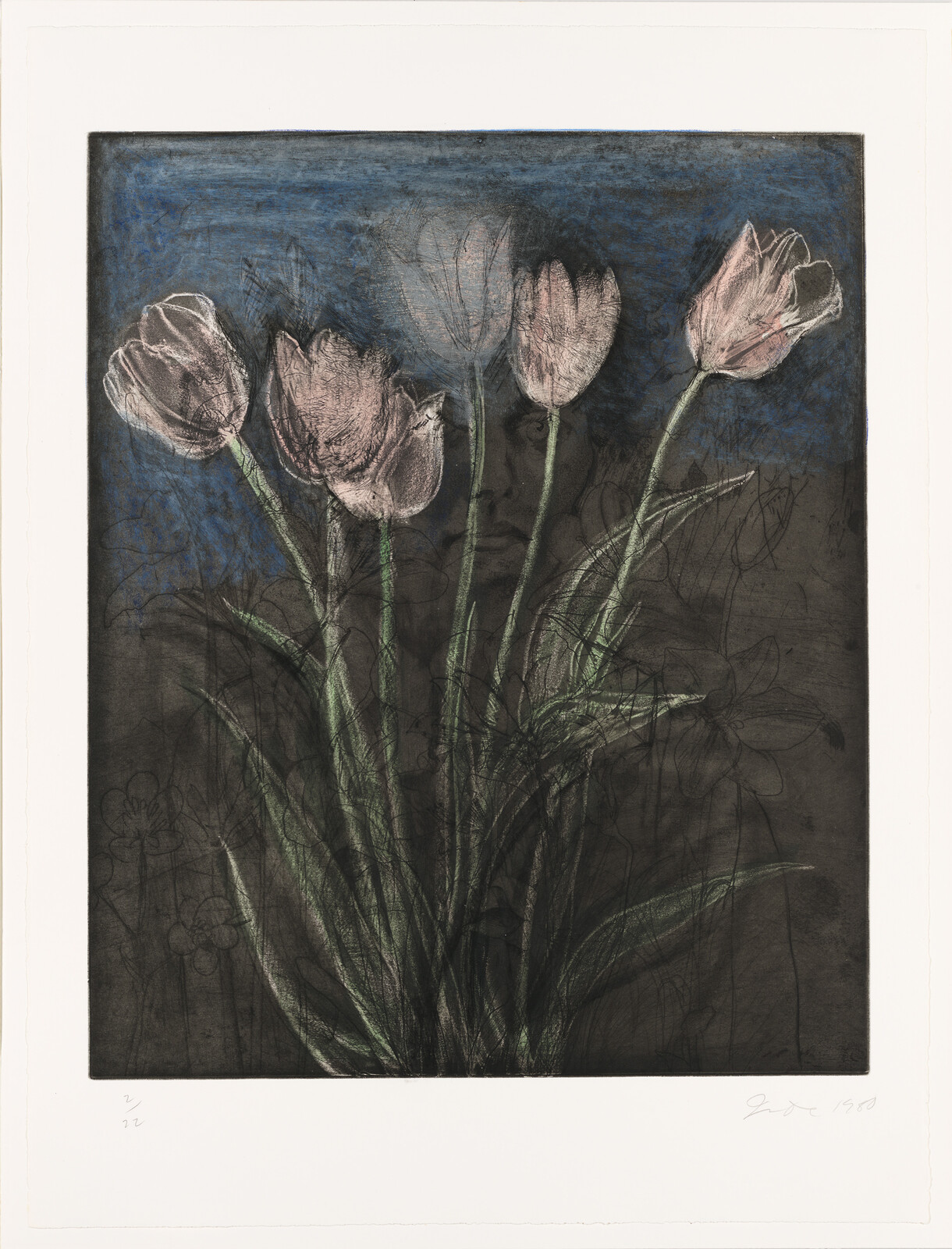 Five pale pink tulips with long green stems stand against a dark background with a faint face.