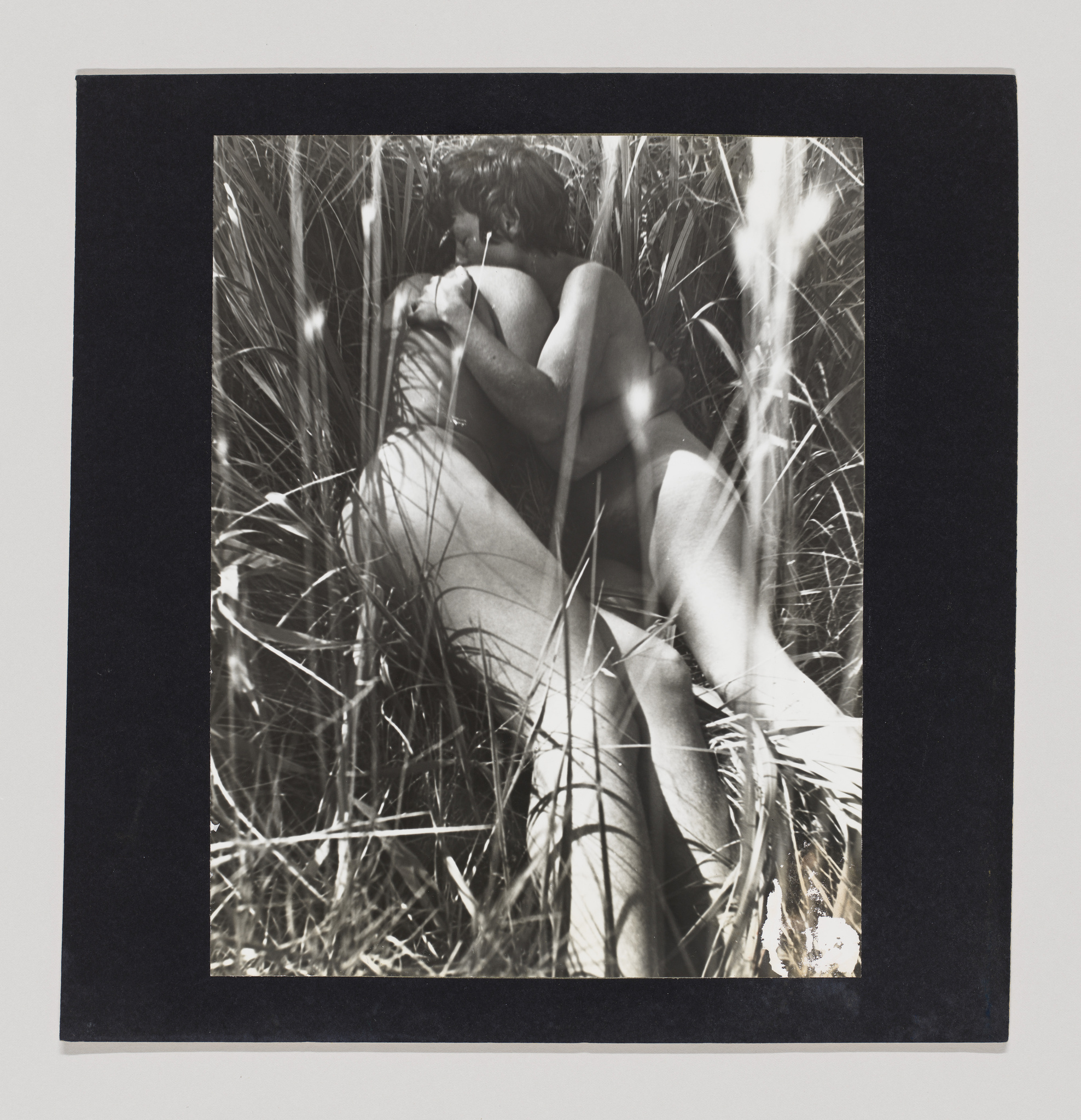 Two nude white women lie in tall grass embracing one another.