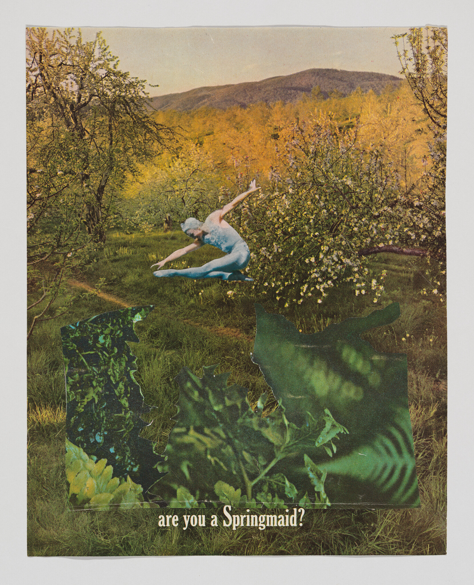 A ballet dancer in a blue costume leaps above a flowering orchard with the words "are you a Springmaid?".