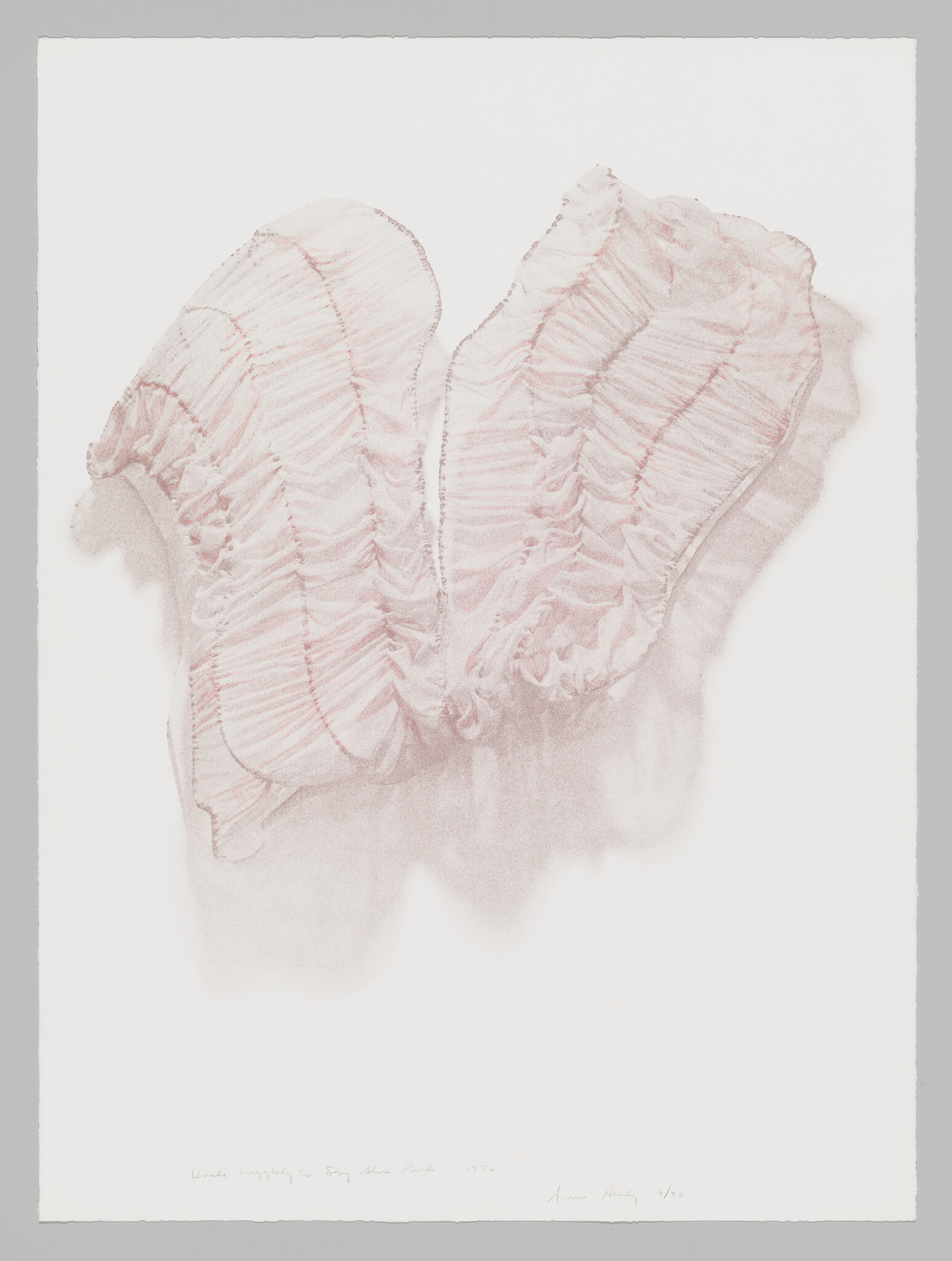 Delicate pink ruffled underwear laid flat showing gathered elastic and soft folds.