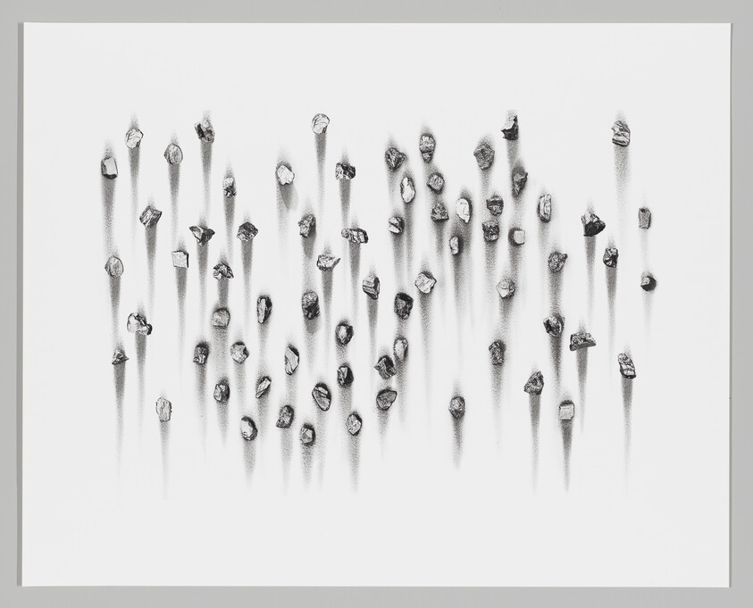 Small, irregularly shaped black objects are scattered across a white background, casting long, vertical shadows.