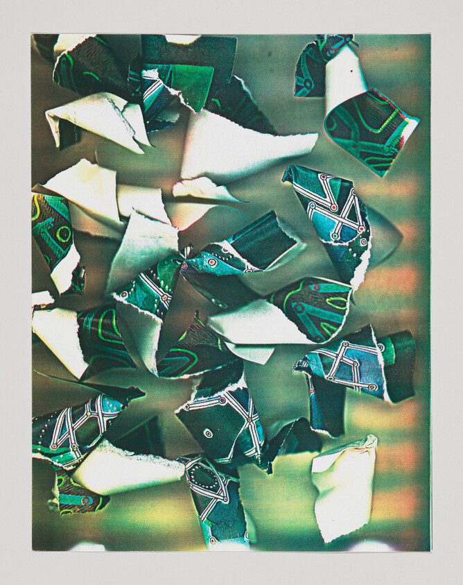 Torn pieces of patterned teal paper scattered across a green, mottled surface.