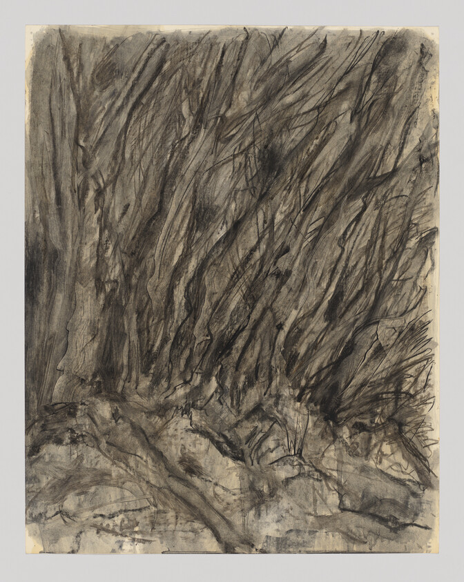Dense charcoal drawing of tall windswept grasses and tangled roots along a rough ground.