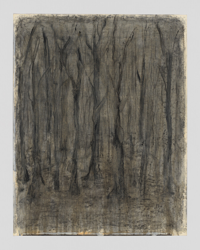 Dark charcoal drawing of tall bare trees densely filling a shadowy forest scene.