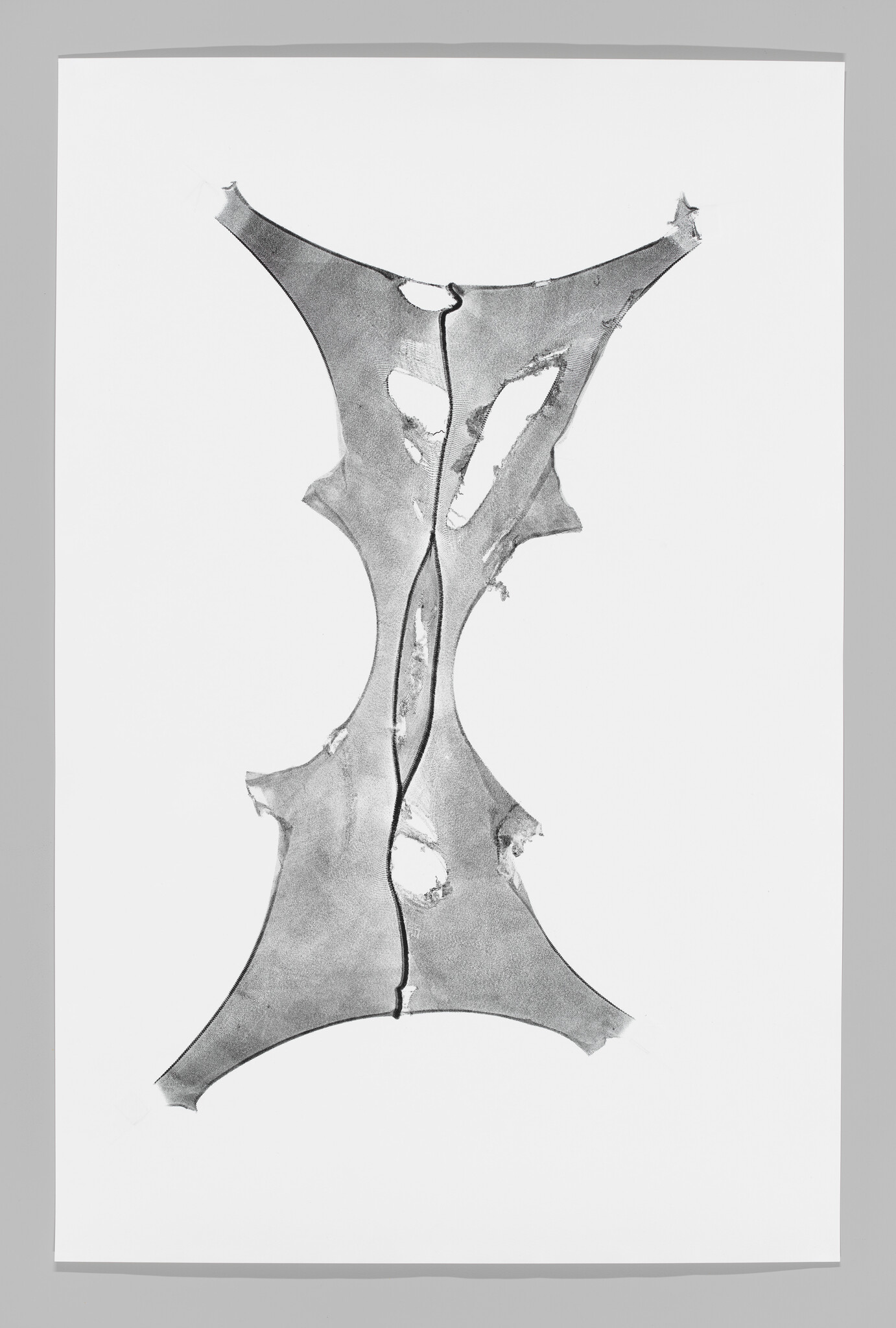 A piece of tearing fabric stretched out against a white background.