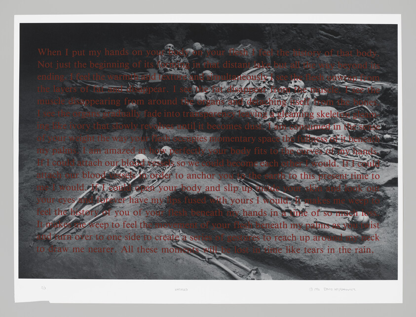 Skeletal remains lying on sand with red handwritten text overlay describing touching flesh.