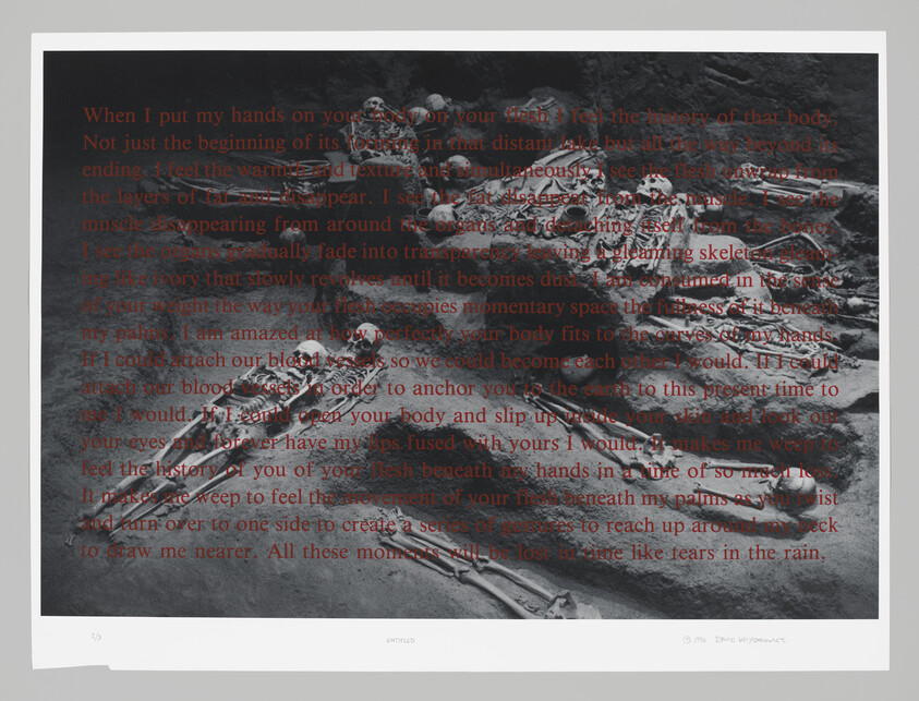 Several skeletal remains laid in a pile on the ground with overlaid red text.