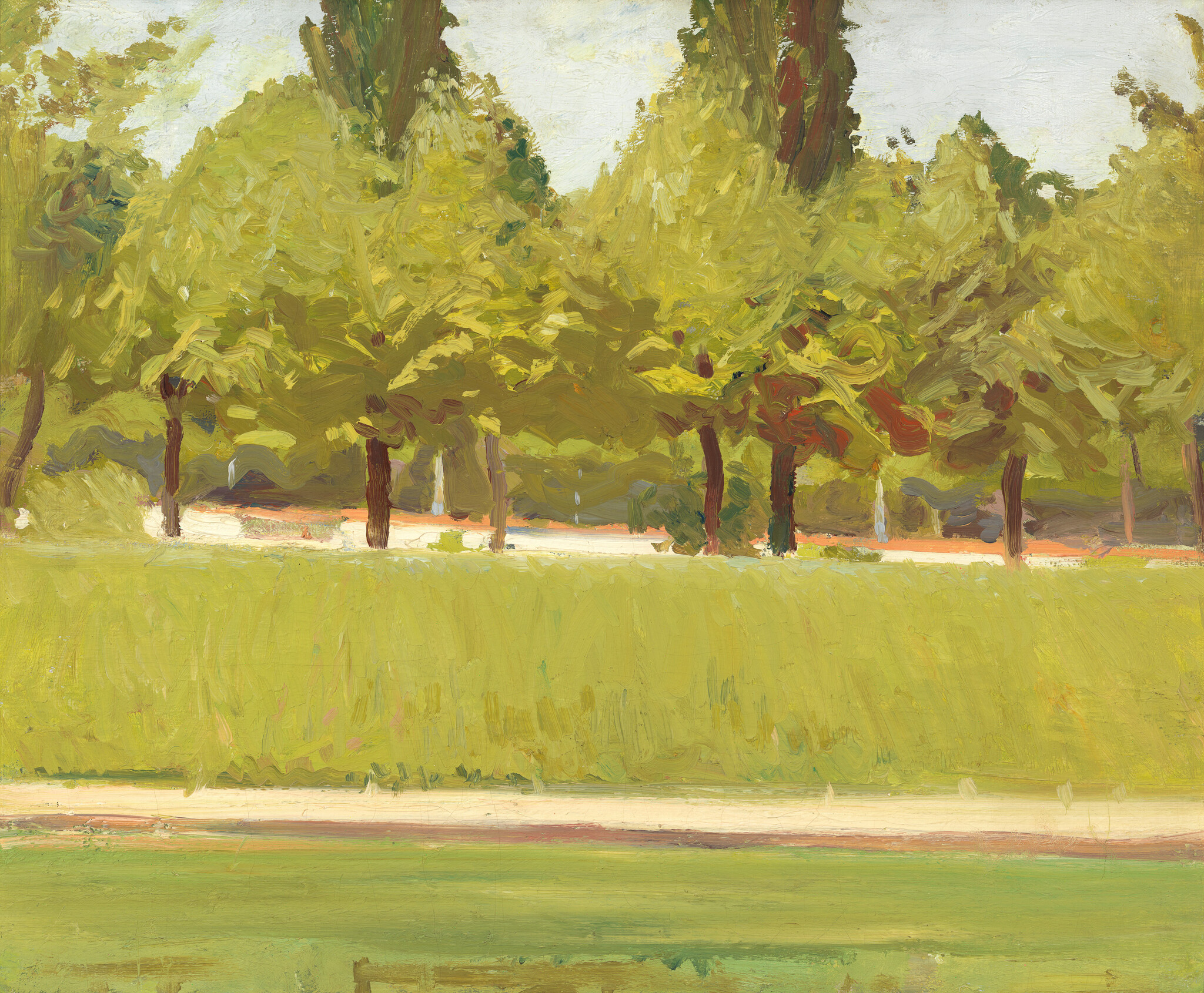 A row of leafy trees stands behind a trimmed hedge with a green lawn in front.