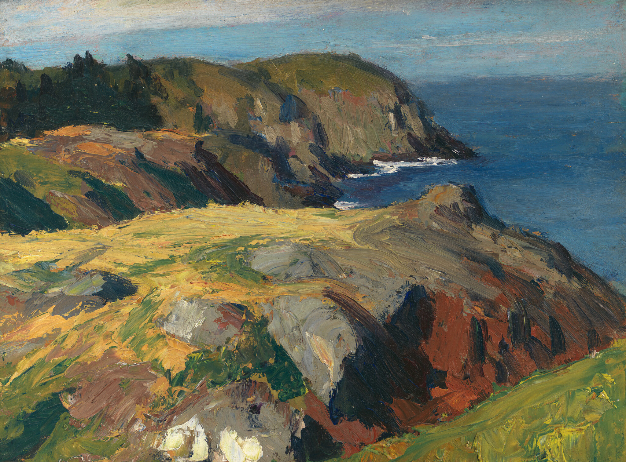 Wind-swept grassy cliffs and rocky headland overlooking blue ocean waves.