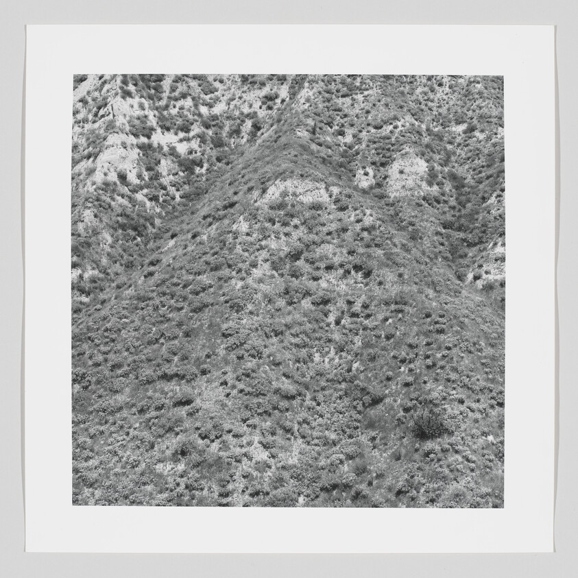 Steep shrub-covered hillside with scattered bushes and eroded patches in black-and-white.