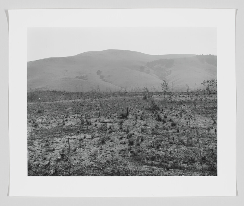 A dry, sparsely vegetated field stretches toward low rolling hills under a pale sky.