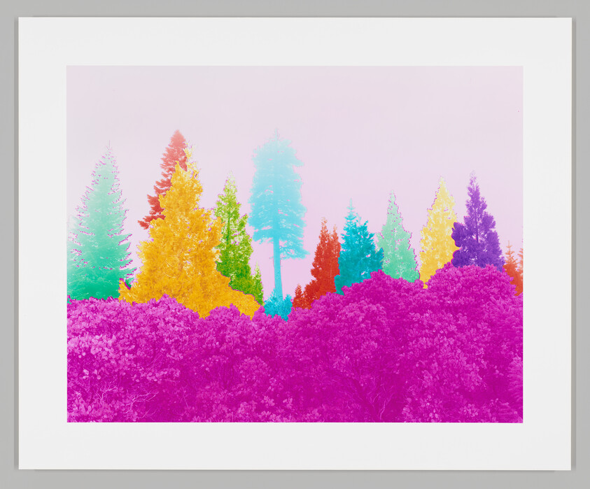 A framed art print showing a row of trees in bright, surreal rainbow colors.