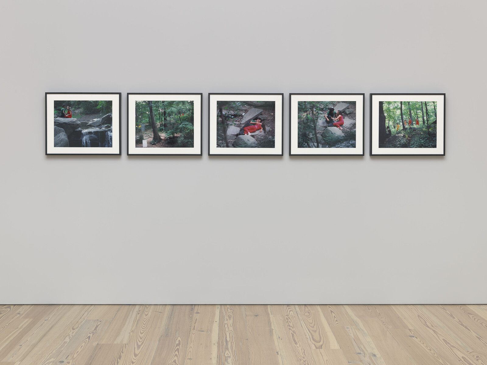 Five framed photos of people in a forest wearing red are hung in a row on a gallery wall.
