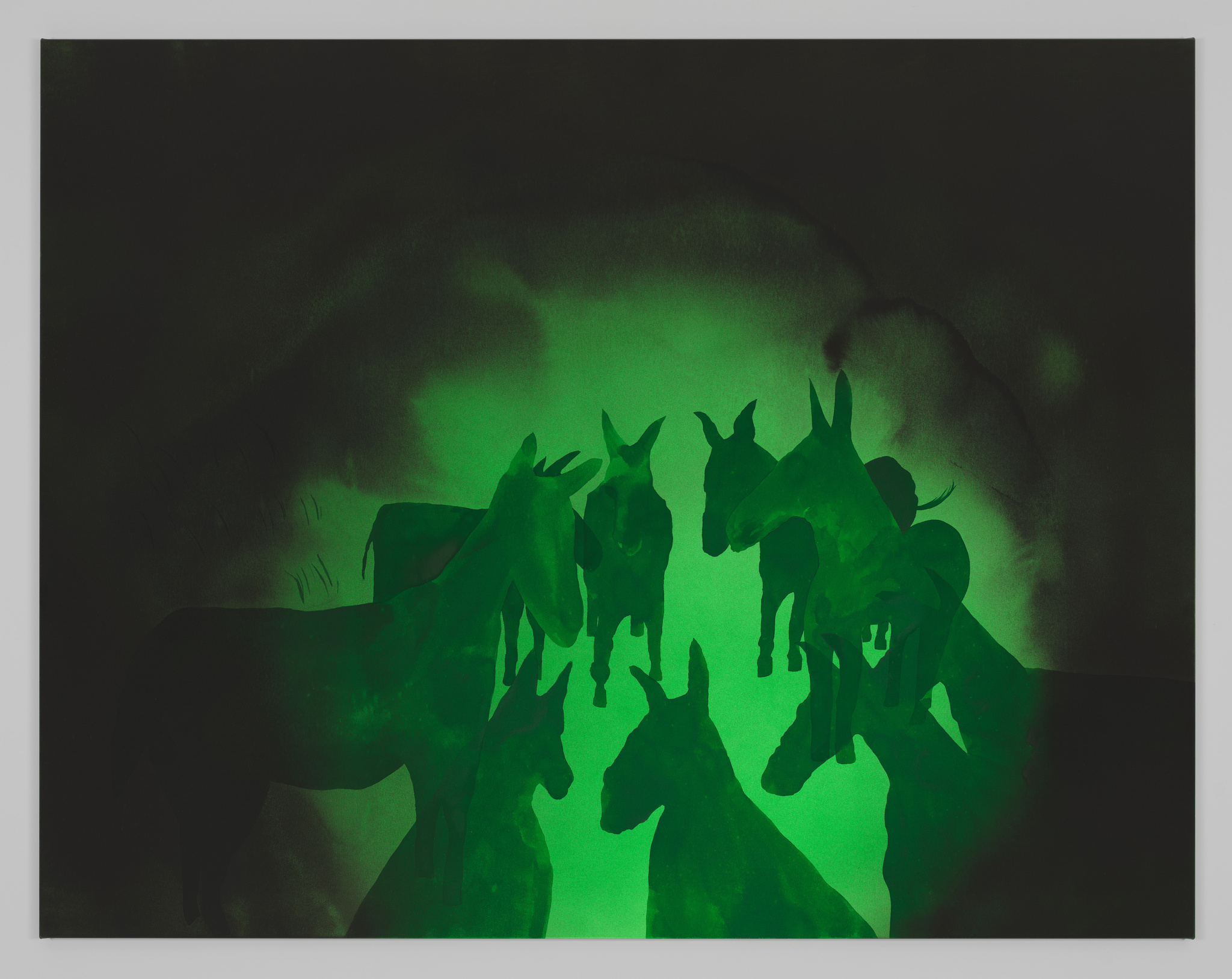 A green monochrome depiction of donkeys' silhouettes congegrated in a circle and framed by a black vingette.