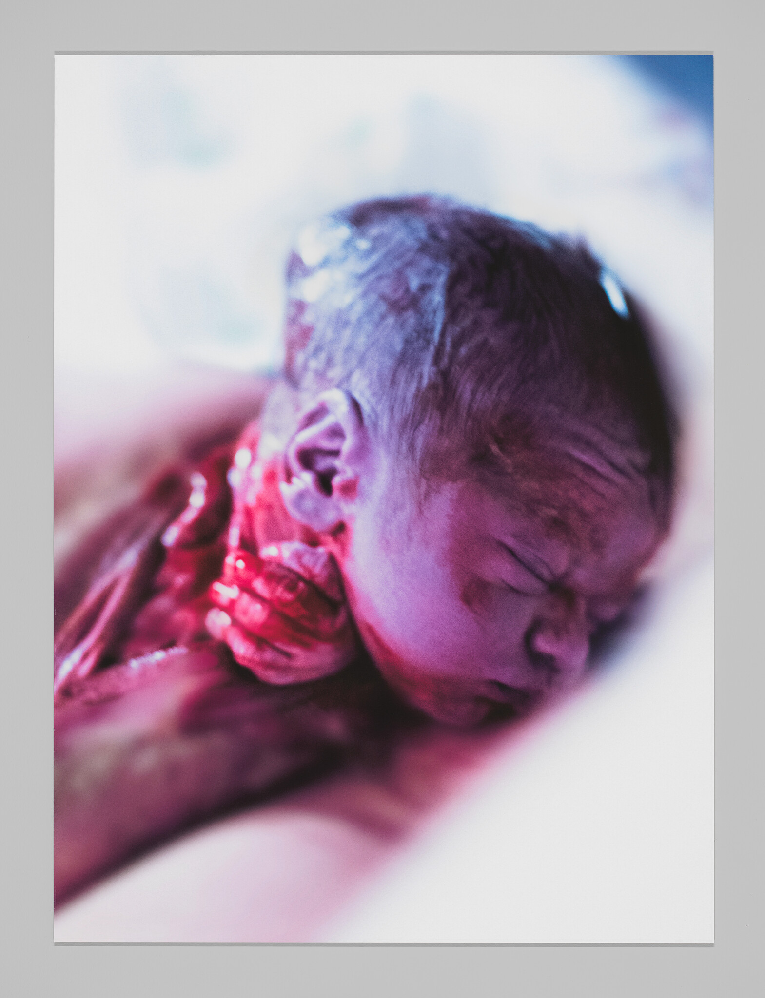 A newborn baby with closed eyes, covered in vernix, resting immediately after birth with a soft focus and a pinkish-purple hue.
