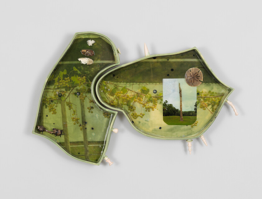 Two green leaf-shaped trays display botanical prints, small objects, and a photograph of a lone tree.