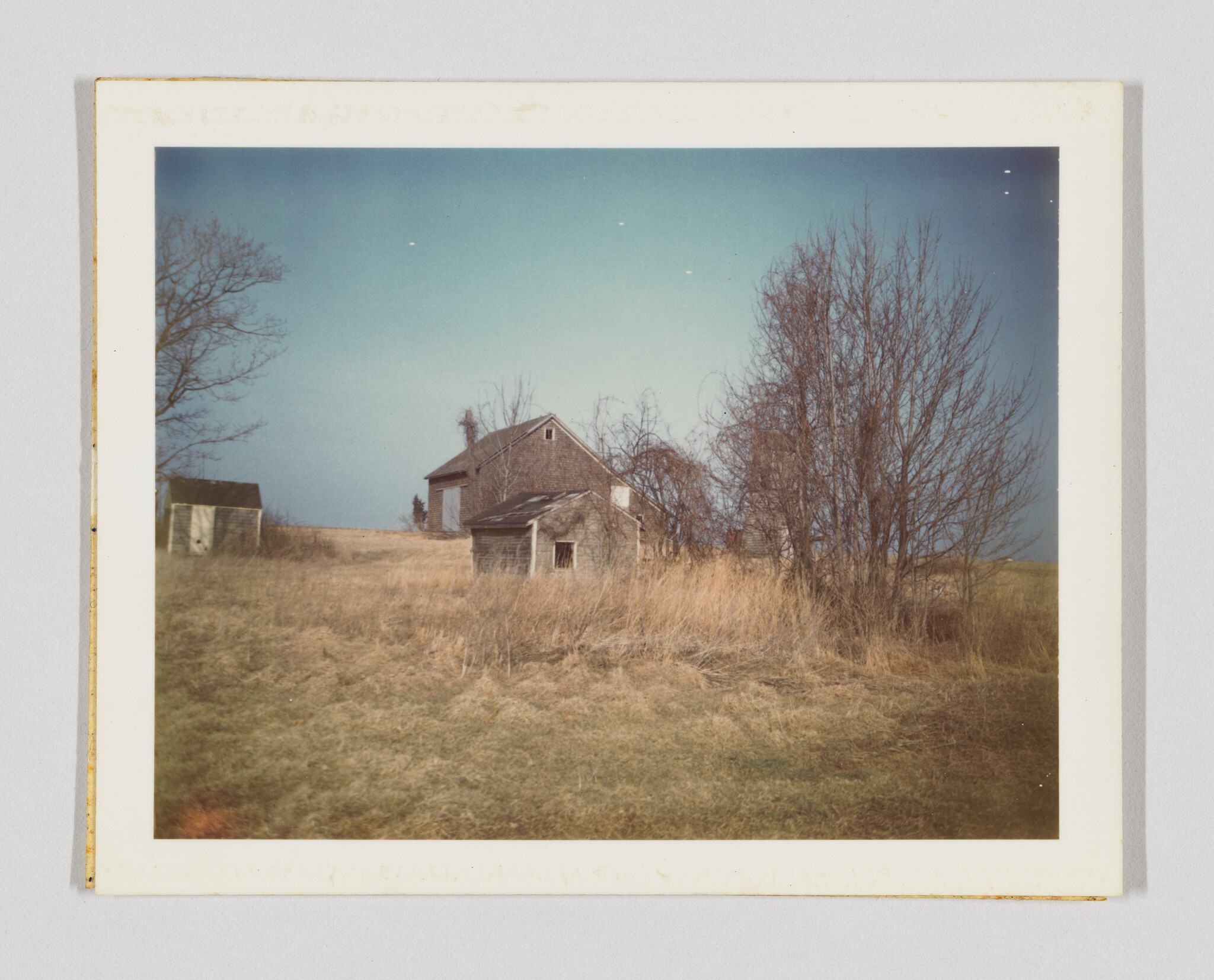 Abandoned farmhouse and small shed stand in a dry grassy field beside leafless trees.