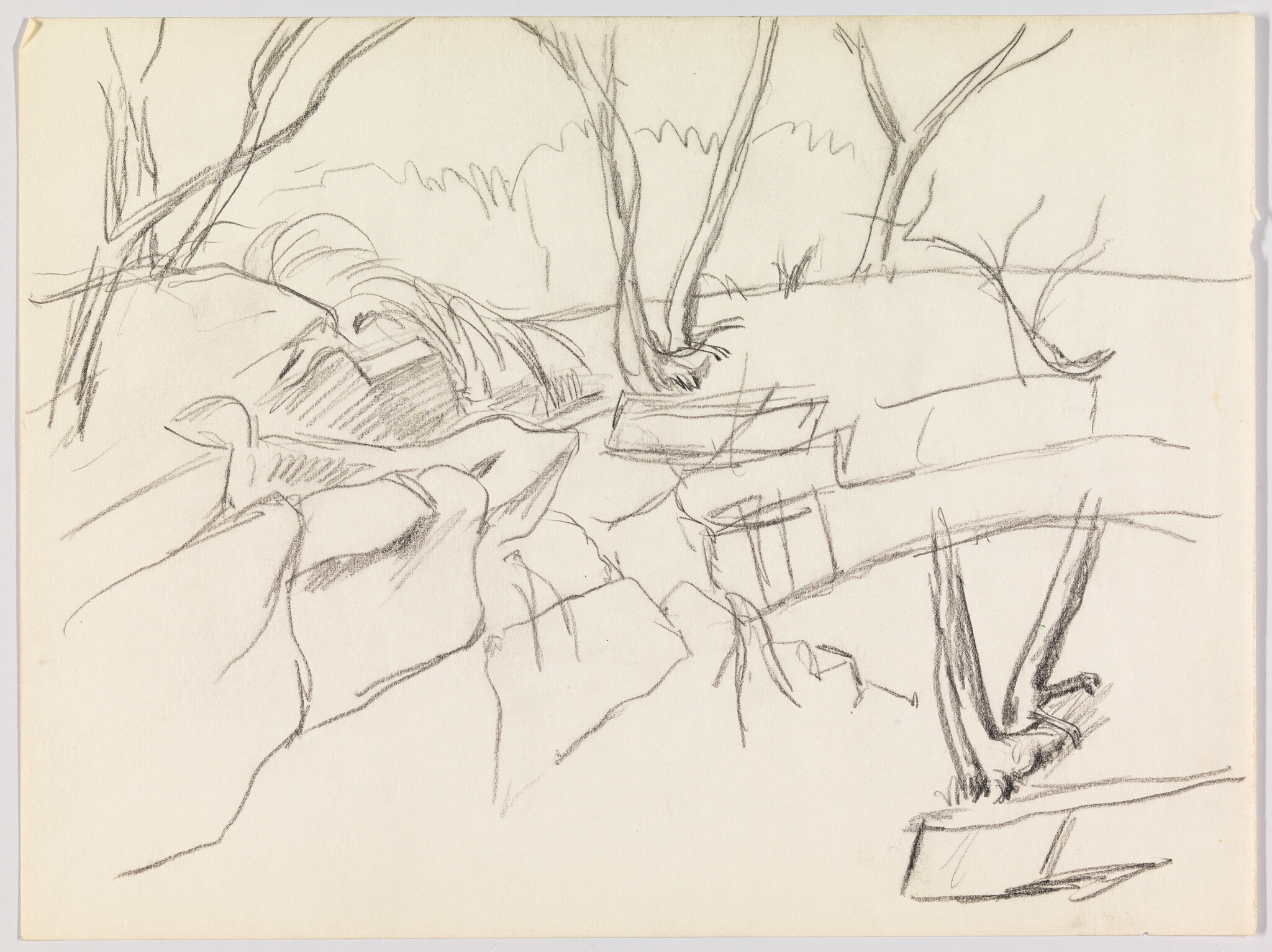 Rough pencil sketch of a rocky riverbank with trees and scattered logs.