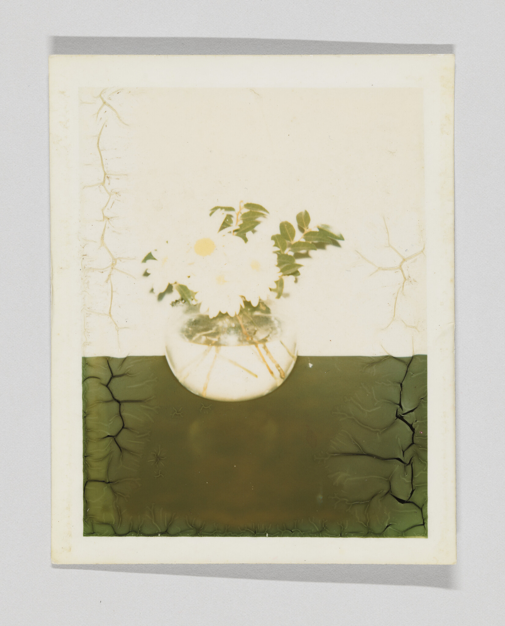 A small glass vase holds white daisies and green leaves on a dark green surface.