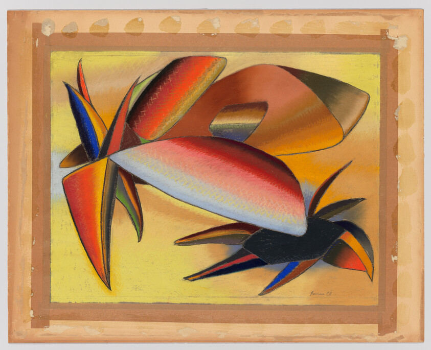 Bright abstract curved shapes resembling tropical leaves and petals against a yellow background.