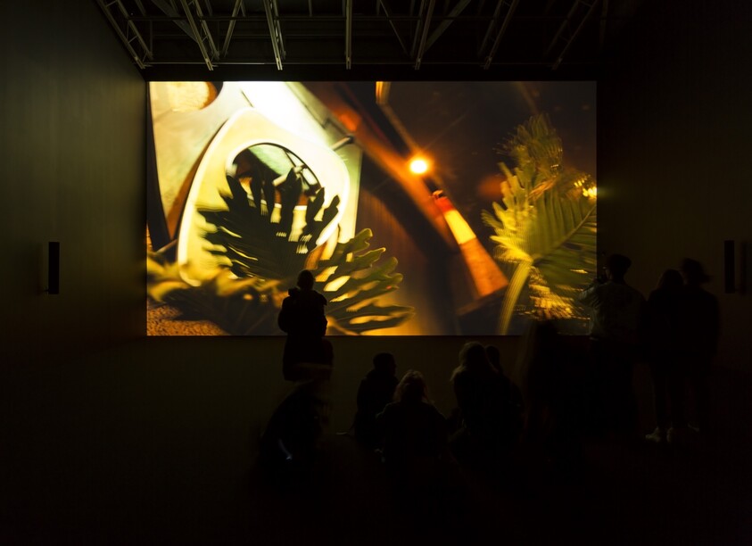 Several people sit and stand in a dark room, watching a large screen showing plants and bright lights.