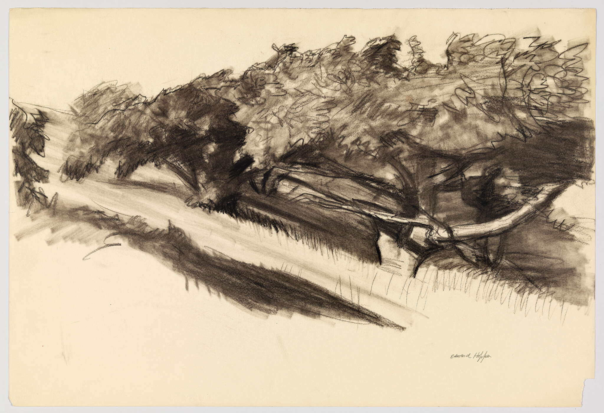 Dark charcoal sketch showing leaning trees and a fallen branch casting long shadows across a path.
