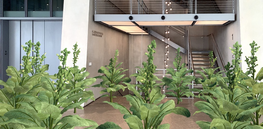 Tall green plants line a modern indoor space with a staircase and metal railings in the background.