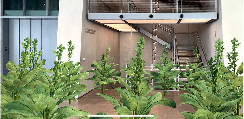 Indoor garden with tall green plants in a modern building lobby, featuring a staircase and sleek design elements.