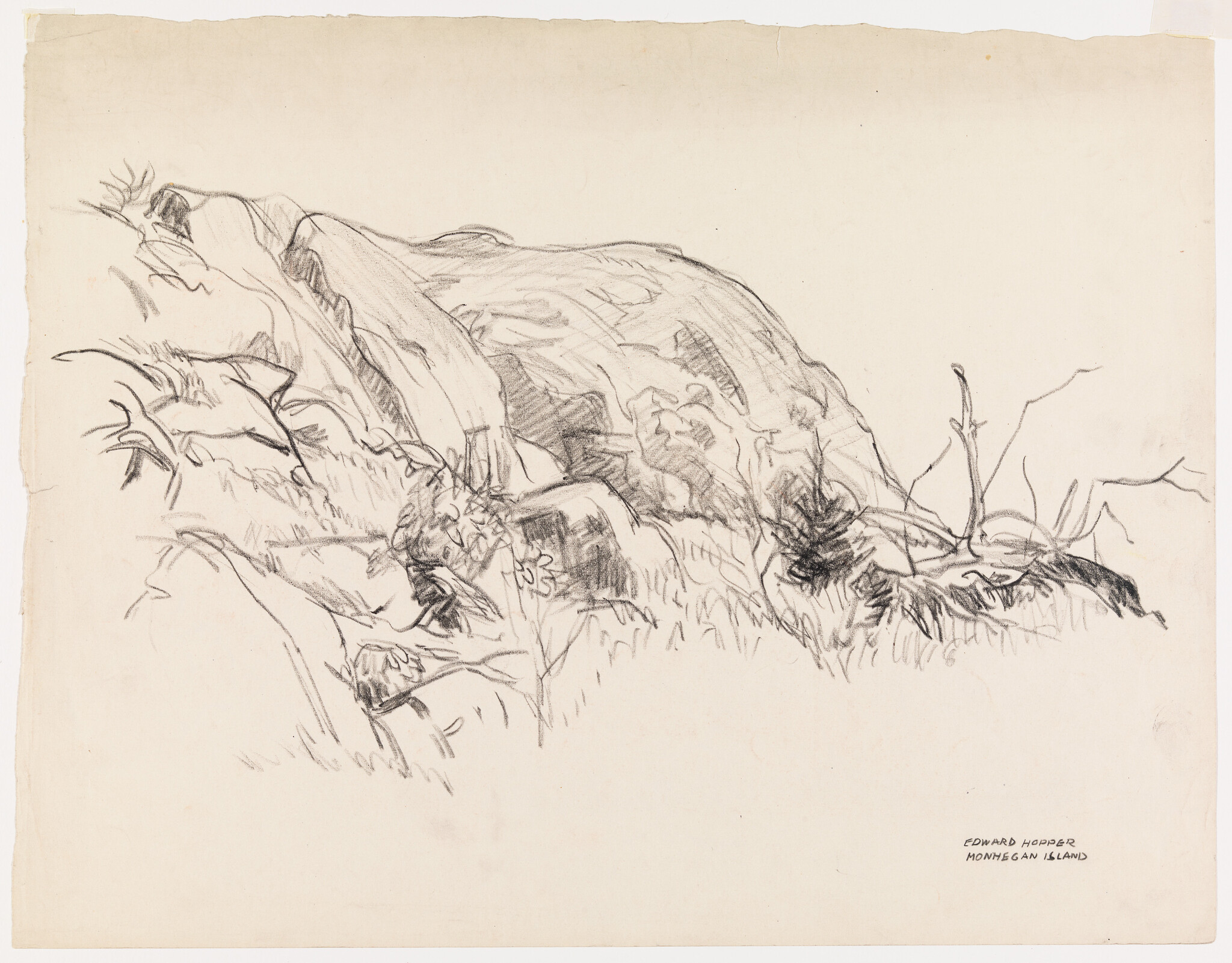 Pencil sketch of a rocky shoreline with grasses and sparse shrubs.