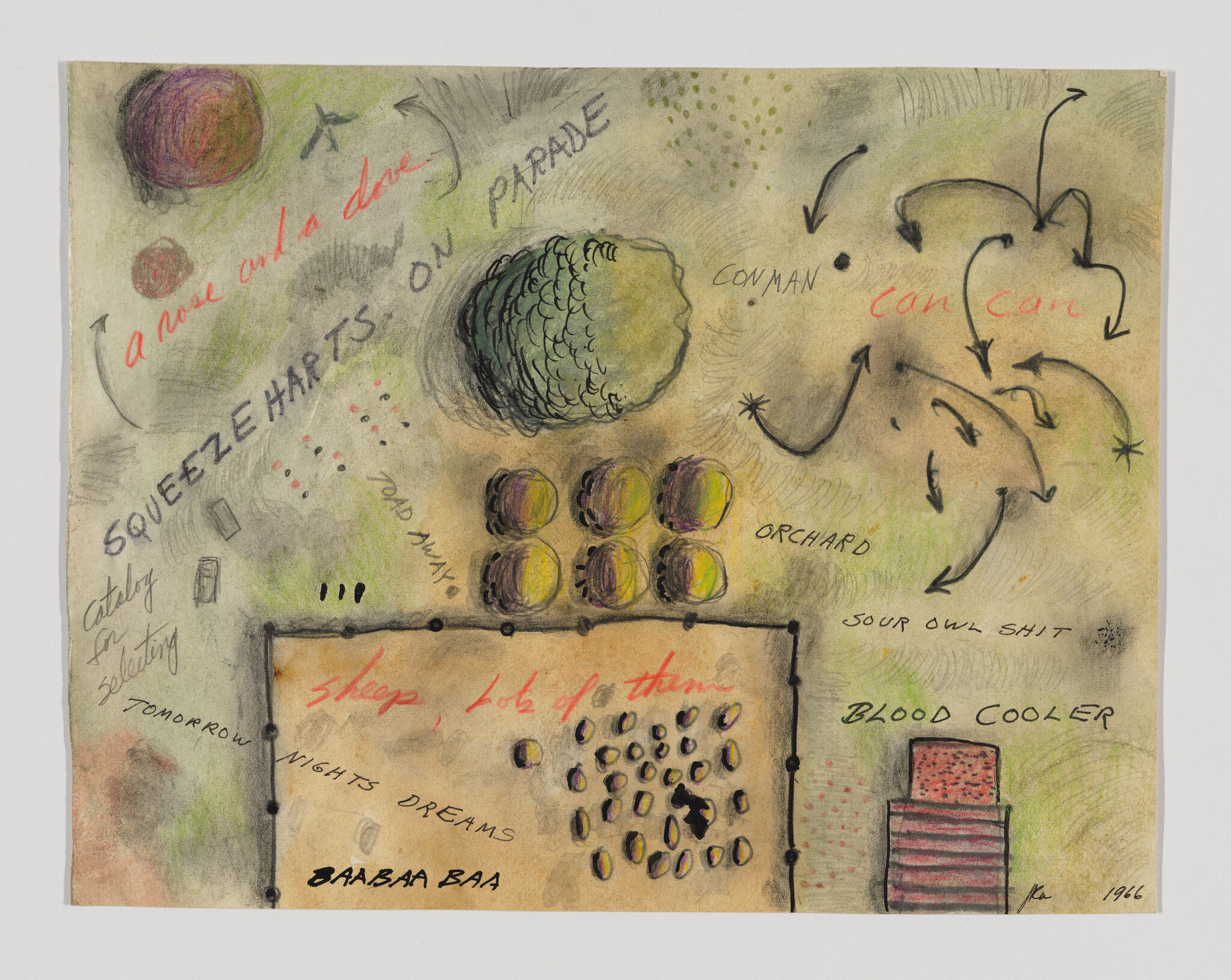 Hand-drawn sketch map showing an orchard, fenced sheep pen, arrows, and handwritten labels like "blood cooler."