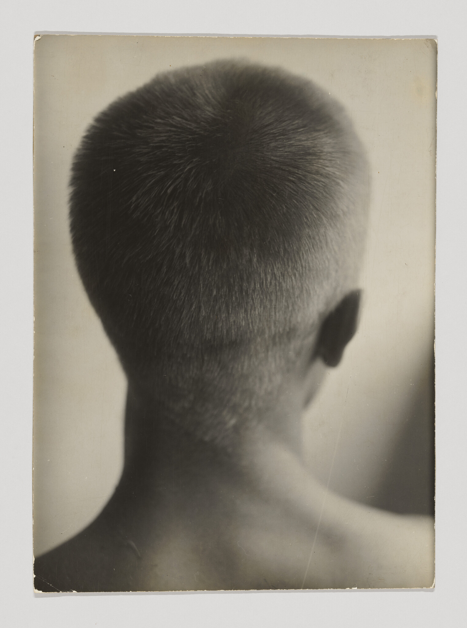 Vintage photo of the back of a person's head and neck, showing a short haircut.