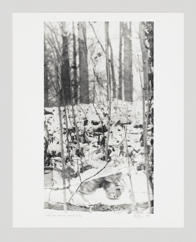 A pair of boots partly buried in snow beneath thin trees in a winter forest.