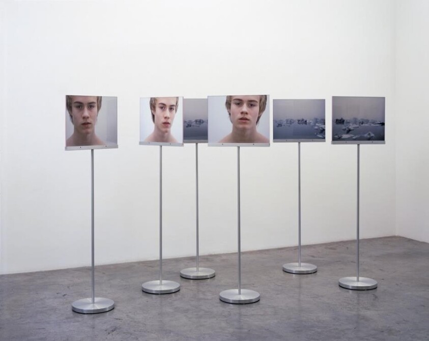 Five portrait-oriented panels displayed on metal stands in a gallery setting, with the first three panels showing close-up photos of a young person's face and the last two panels depicting a blurred landscape or room.