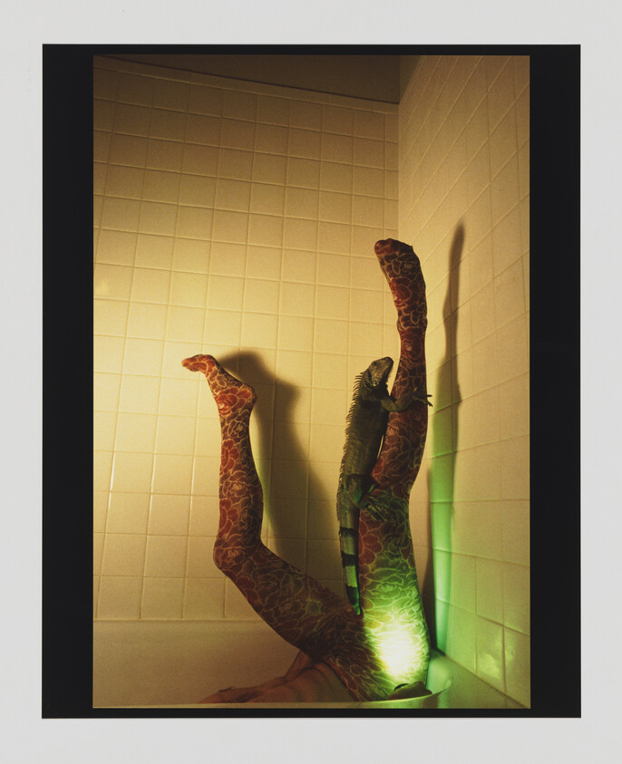 Person in patterned tights lies in bathtub with an iguana climbing their raised legs.