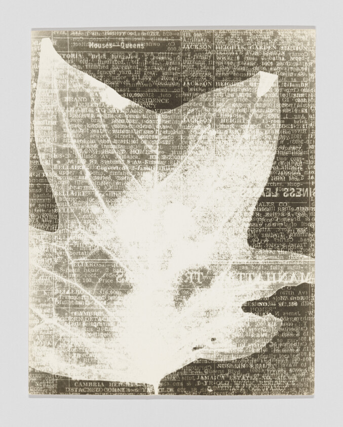 A large white leaf silhouette overlays a column of small newspaper text.