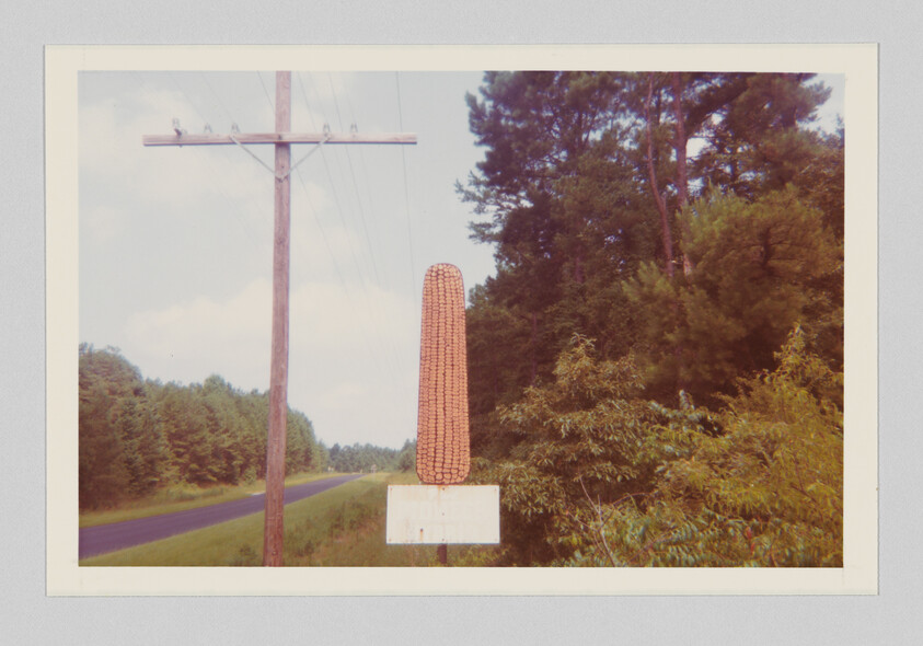 A vintage photograph depicting a rural scene with a large ear of corn sculpture standing beside a road. The sculpture is mounted on a white signboard, and there's a utility pole in the foreground. Dense green trees line the road, suggesting a lush, natural setting. The image has a white border, characteristic of old film photographs.