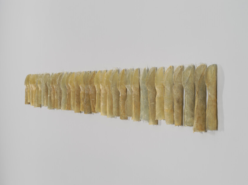 A long horizontal row of yellowed felt mitten-shaped fabric pieces mounted on a white wall.