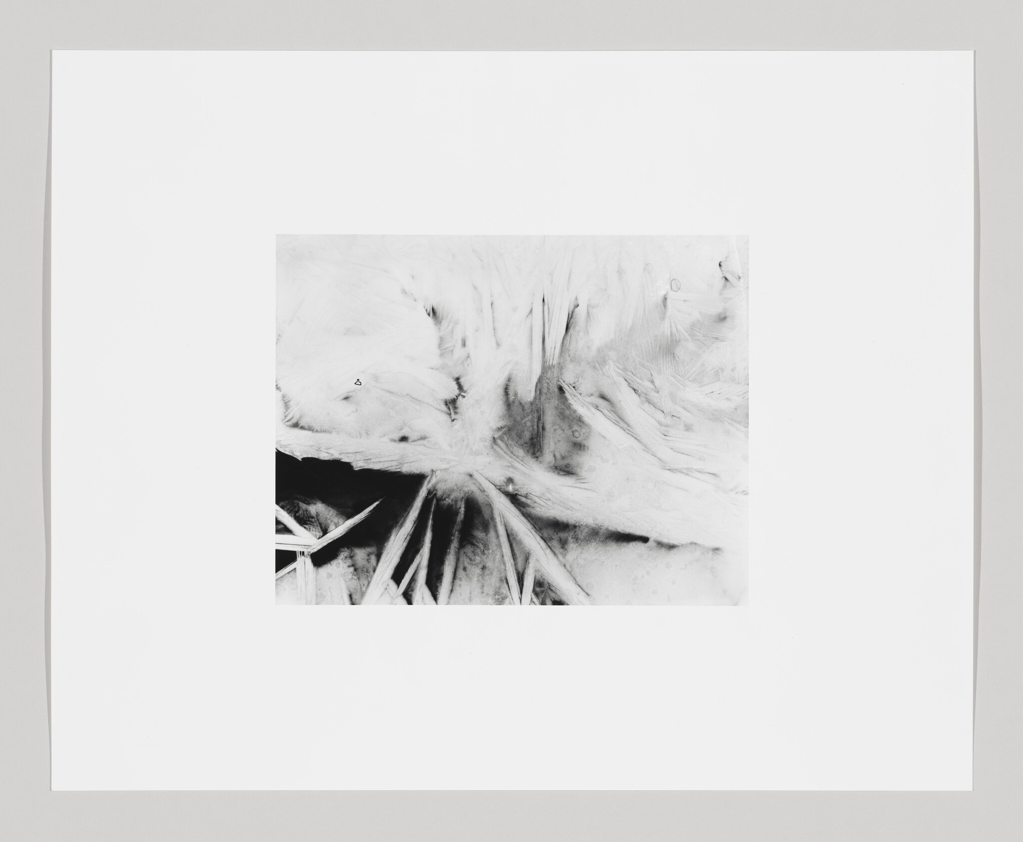 A black and white abstract drawing featuring dynamic, textured strokes that resemble natural forms or landscapes, mounted on a white background with a wide border.