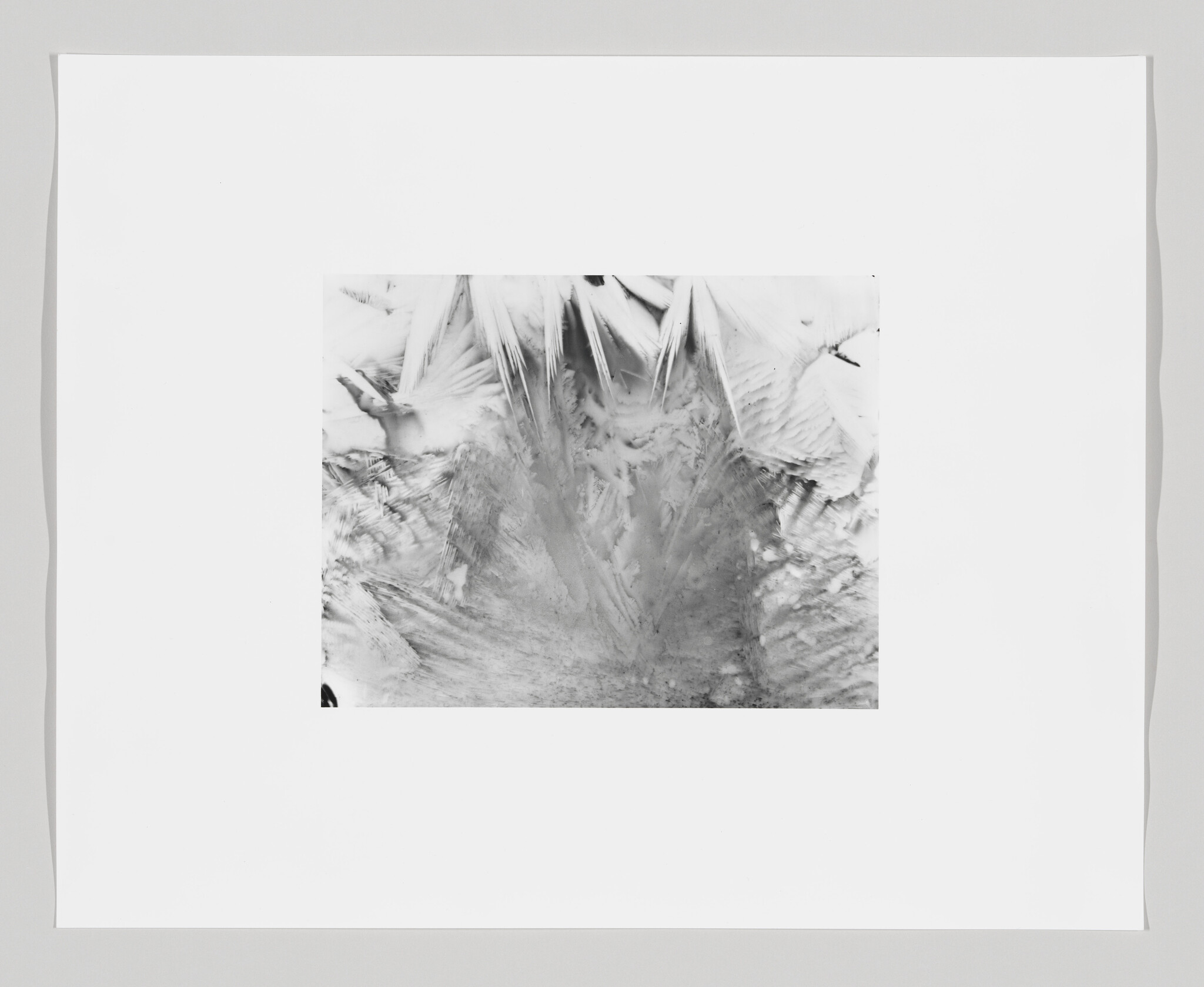 A black and white abstract image featuring a central pattern that resembles crystalline or feather-like structures, surrounded by a large white border.