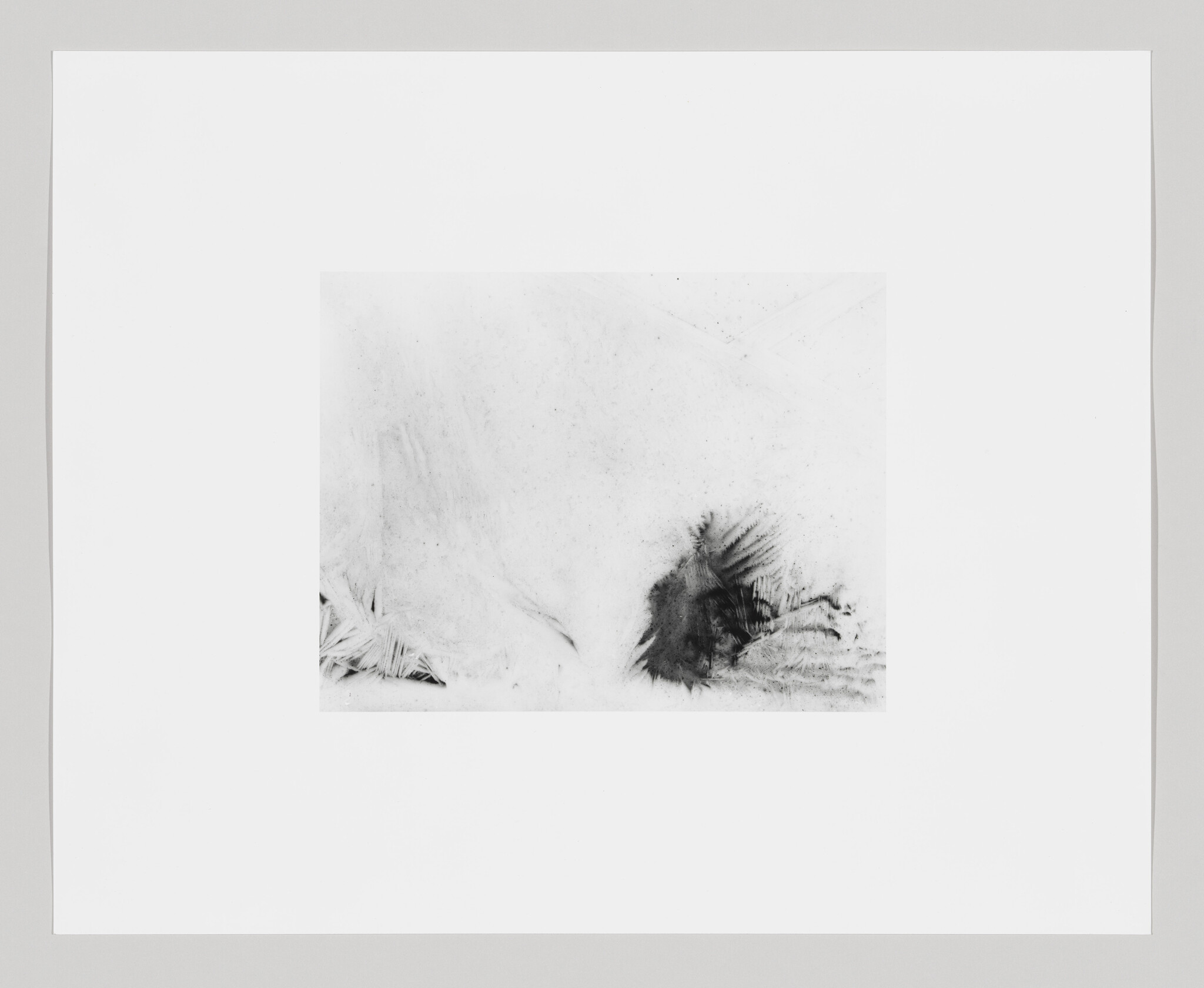 A monochromatic artwork featuring abstract black smudges and feather-like textures on a white background, presented within a larger white border.