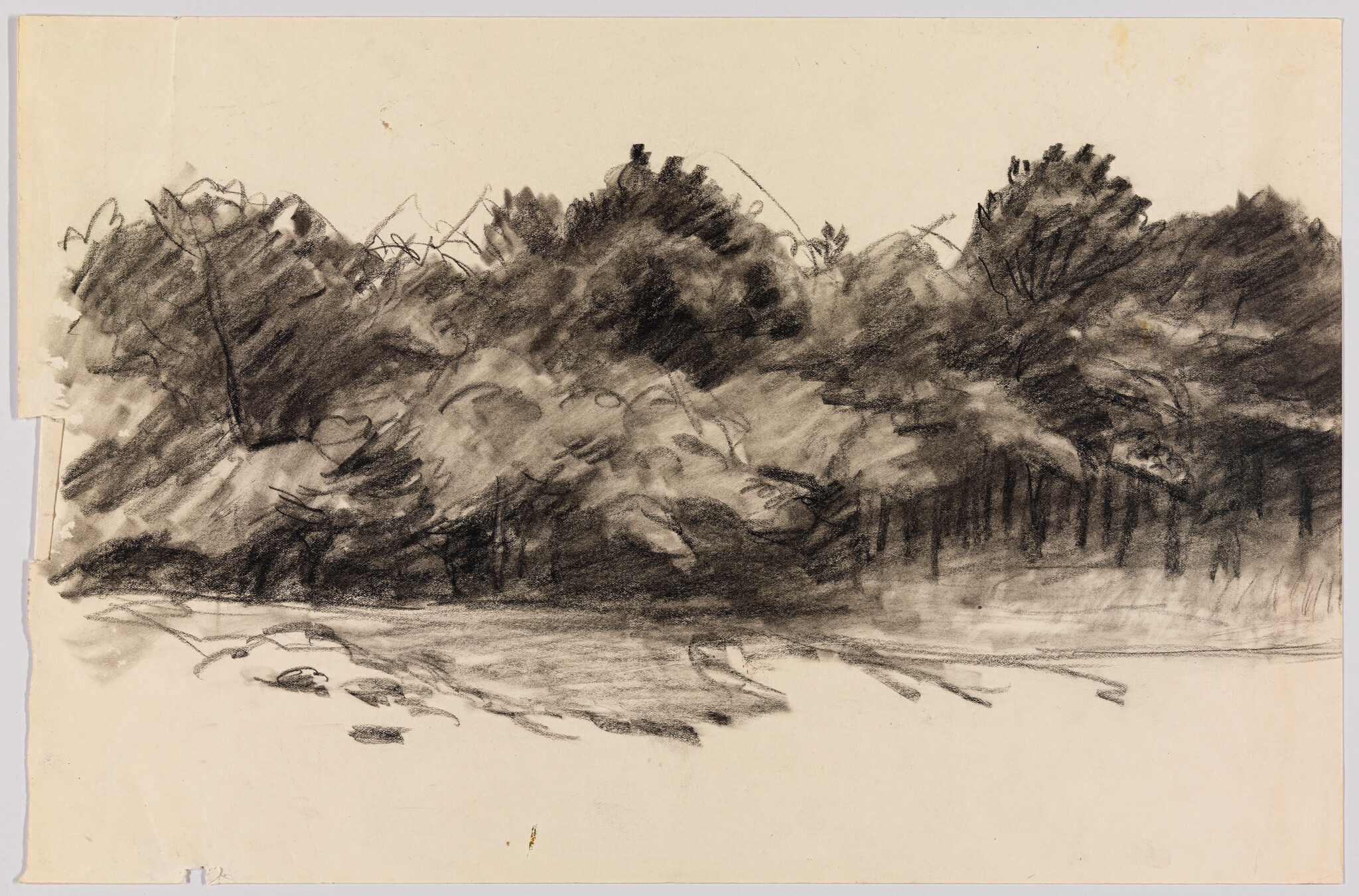 A charcoal sketch of dense trees and a calm riverbank with reflected shadows.