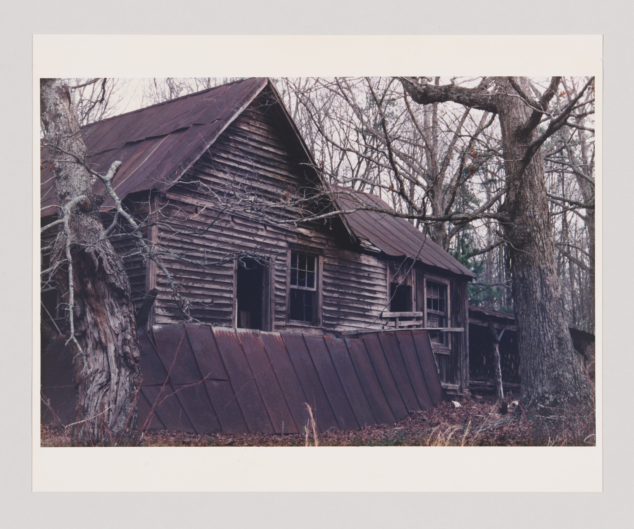 An abandoned weathered wooden house with rusted metal panels leaning against its front.