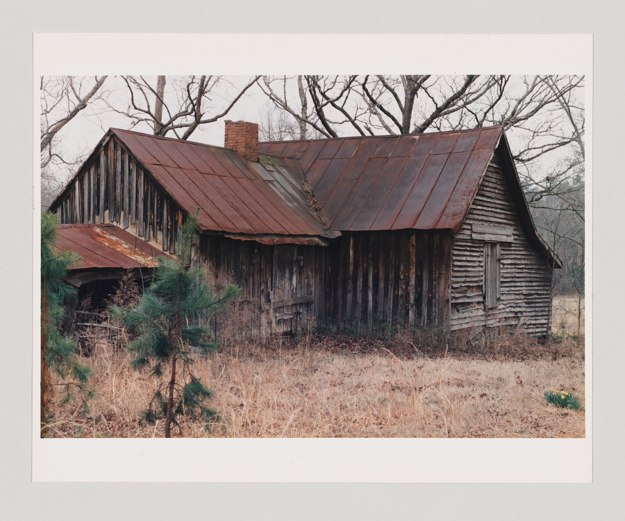 An old weathered wooden barn with a rusted metal roof sits amid dry grass and bare trees.