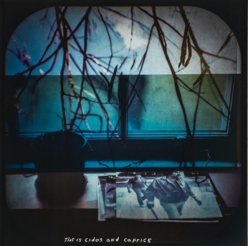 A photograph with a vintage, moody aesthetic showing a window with a view obscured by bare branches. In the foreground, there's a photograph of a person placed on a surface, casting a shadow. The image has a blue-green tint and features the text "This is eidos and caprice" at the bottom.