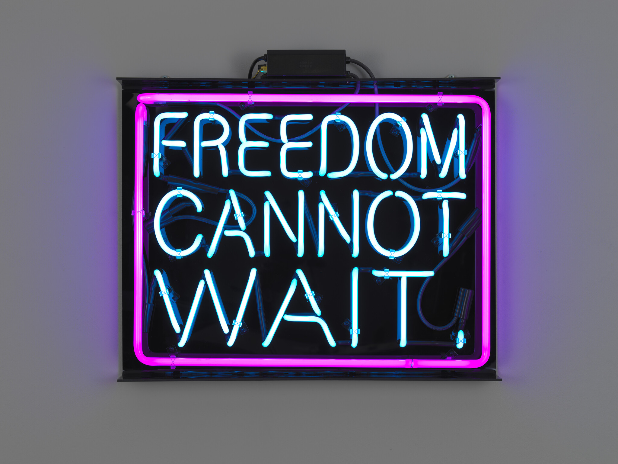 A neon sign with bright blue and pink tubes reading "FREEDOM CANNOT WAIT."