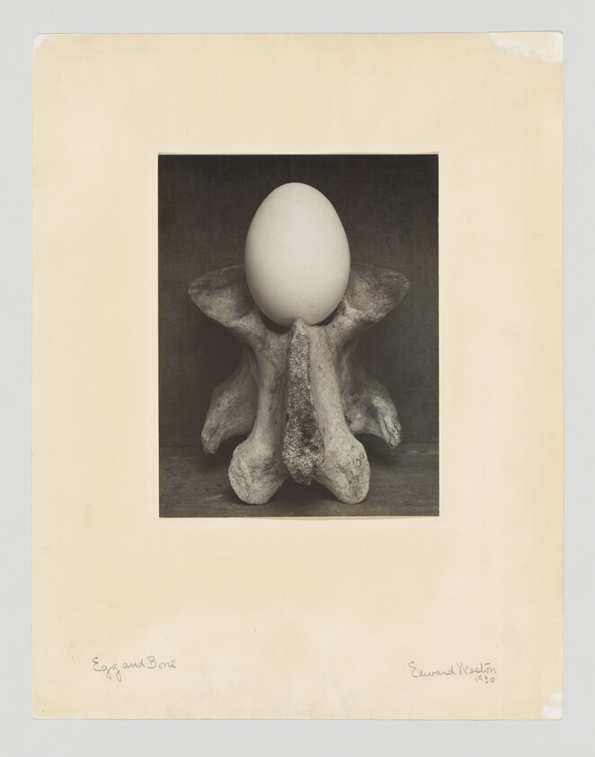 A large egg balanced on a weathered vertebra bone against a dark background.