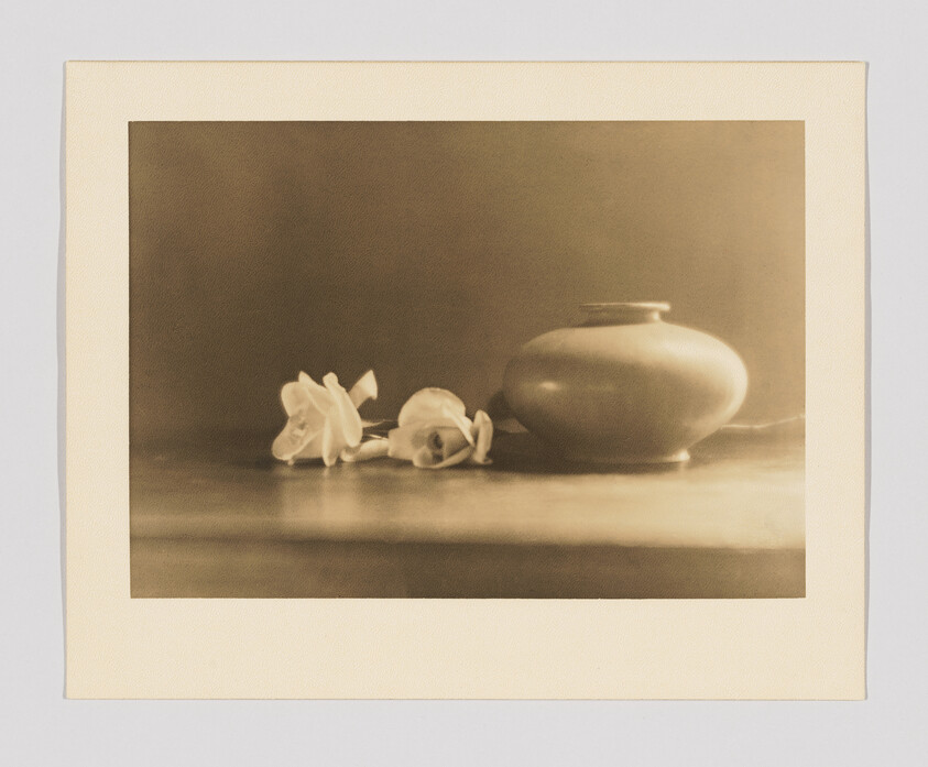 A round ceramic vase sits on a table next to two fallen white flowers.