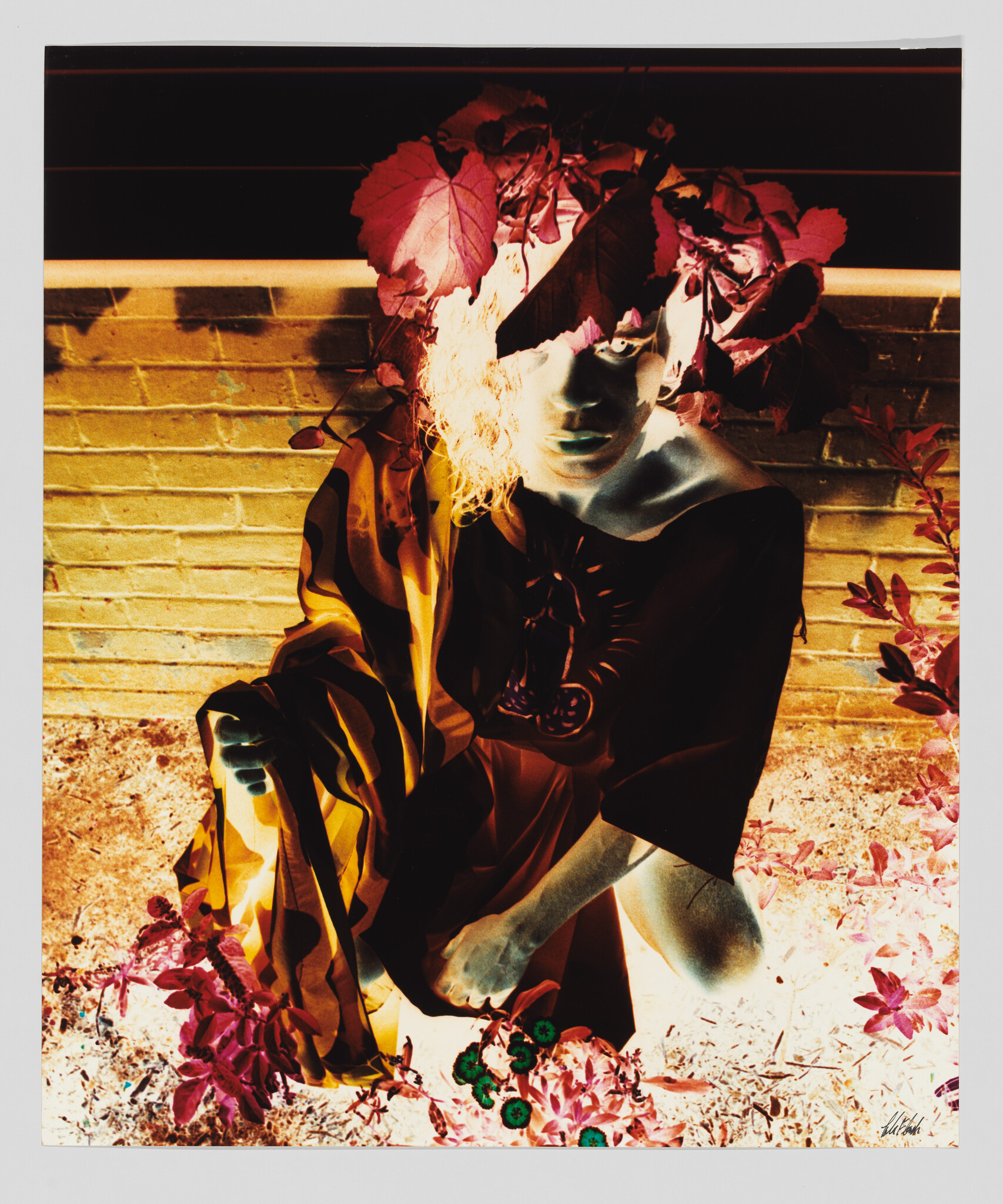A color inverted photo of a person crouched in front of a wall wearing a crown of leaves and a toga with a penis on the chest.