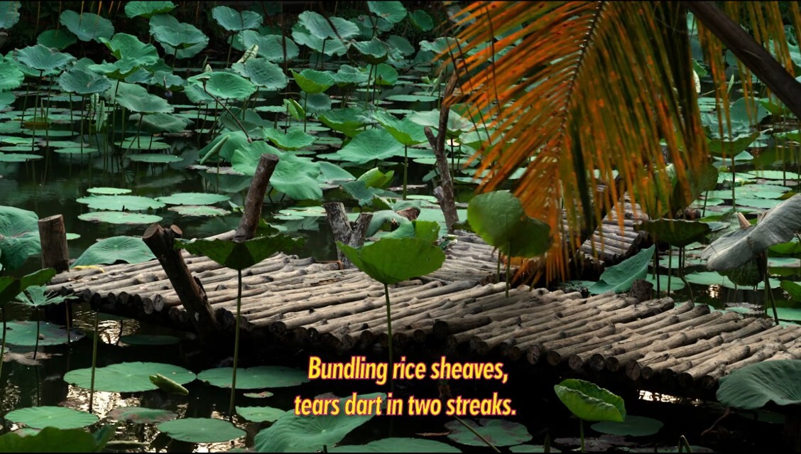 A small bamboo raft rests among lotus leaves on a calm pond under a palm frond.